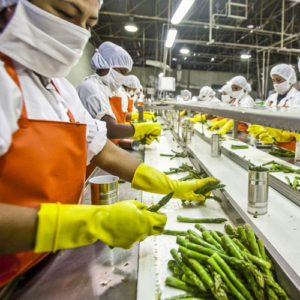 food-industry-recruiting food-industry-recruiting